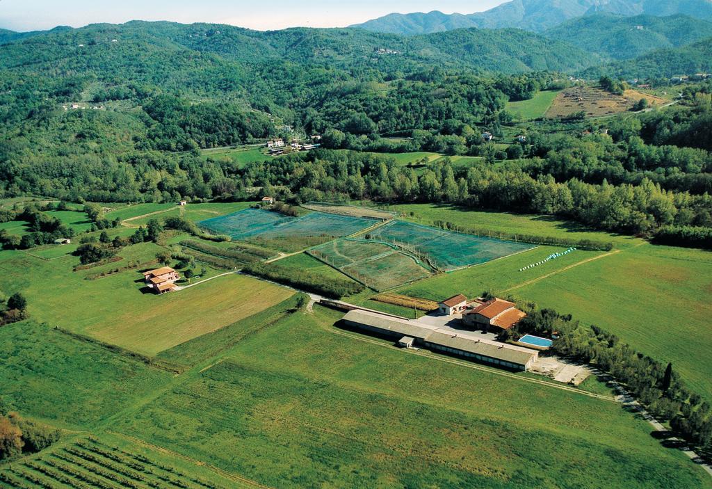 Agriturismo La Praduscella Fivizzano Dış mekan fotoğraf