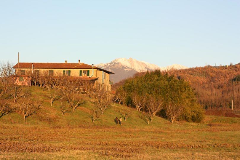 Agriturismo La Praduscella Fivizzano Dış mekan fotoğraf